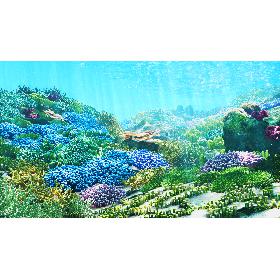 3D 3D Cartoon Underwater Coral Reef Habitat Ocean Version 2